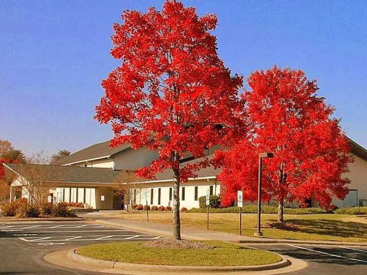 St Stephen Missionary Baptist