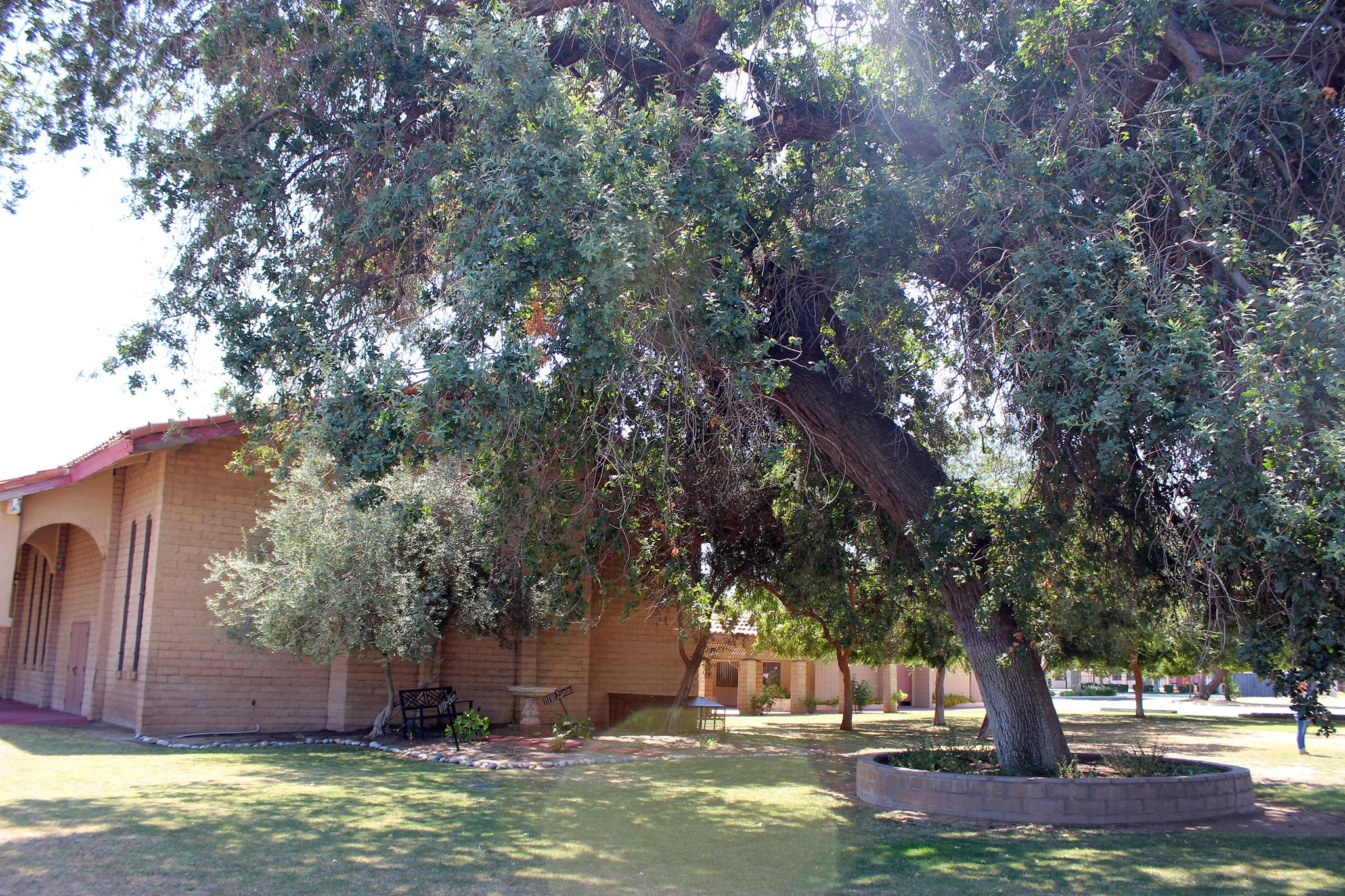 El Encino Baptist Church (USDA) Food Pantry