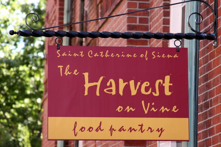 The Harvest on Vine