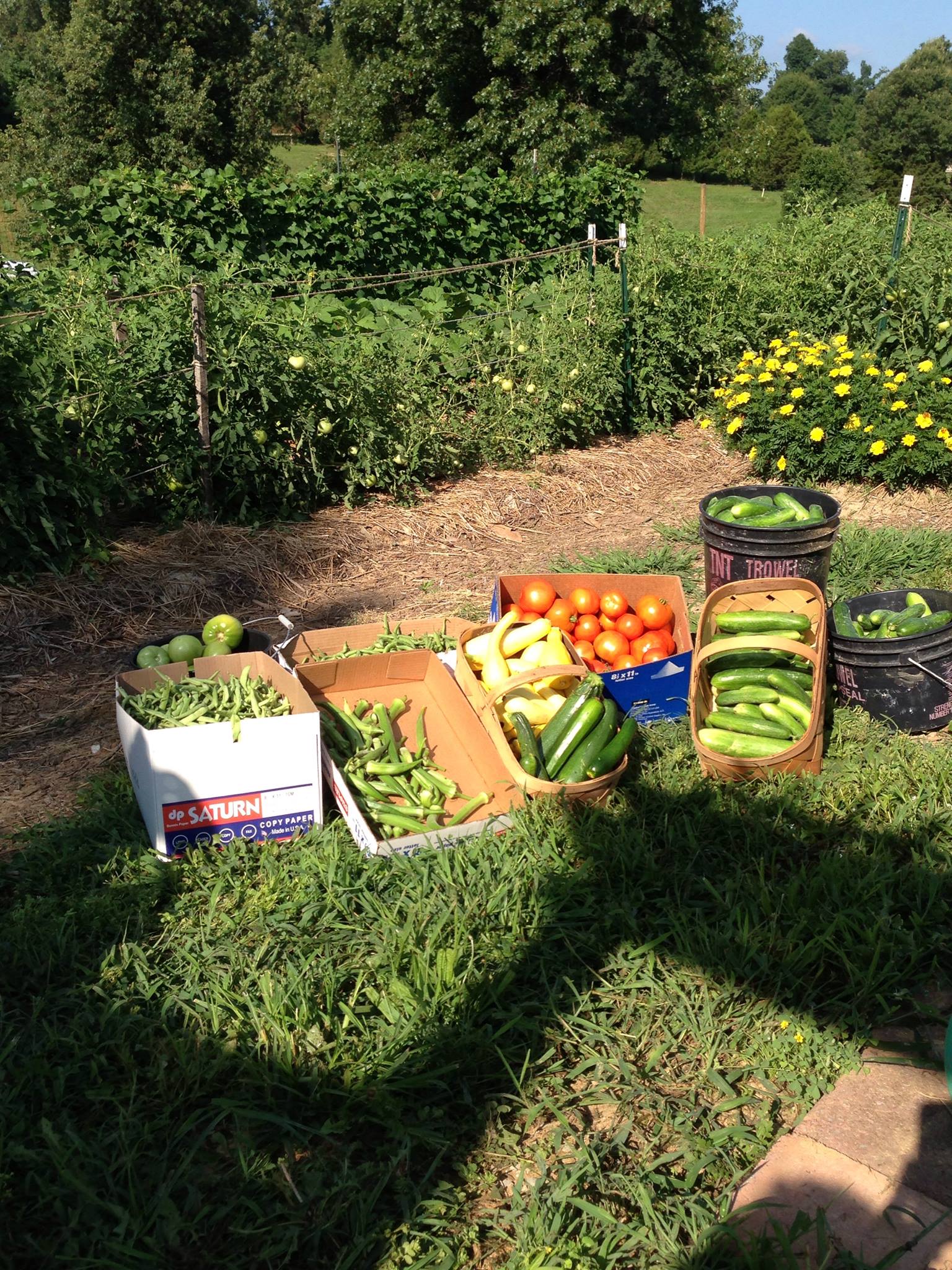 Christian Food Bank of Hopkins County 