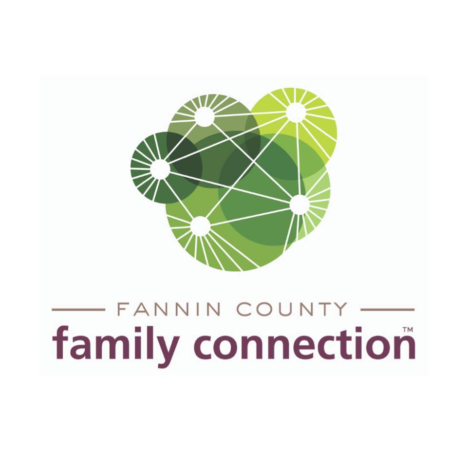 Fannin County Family Connection