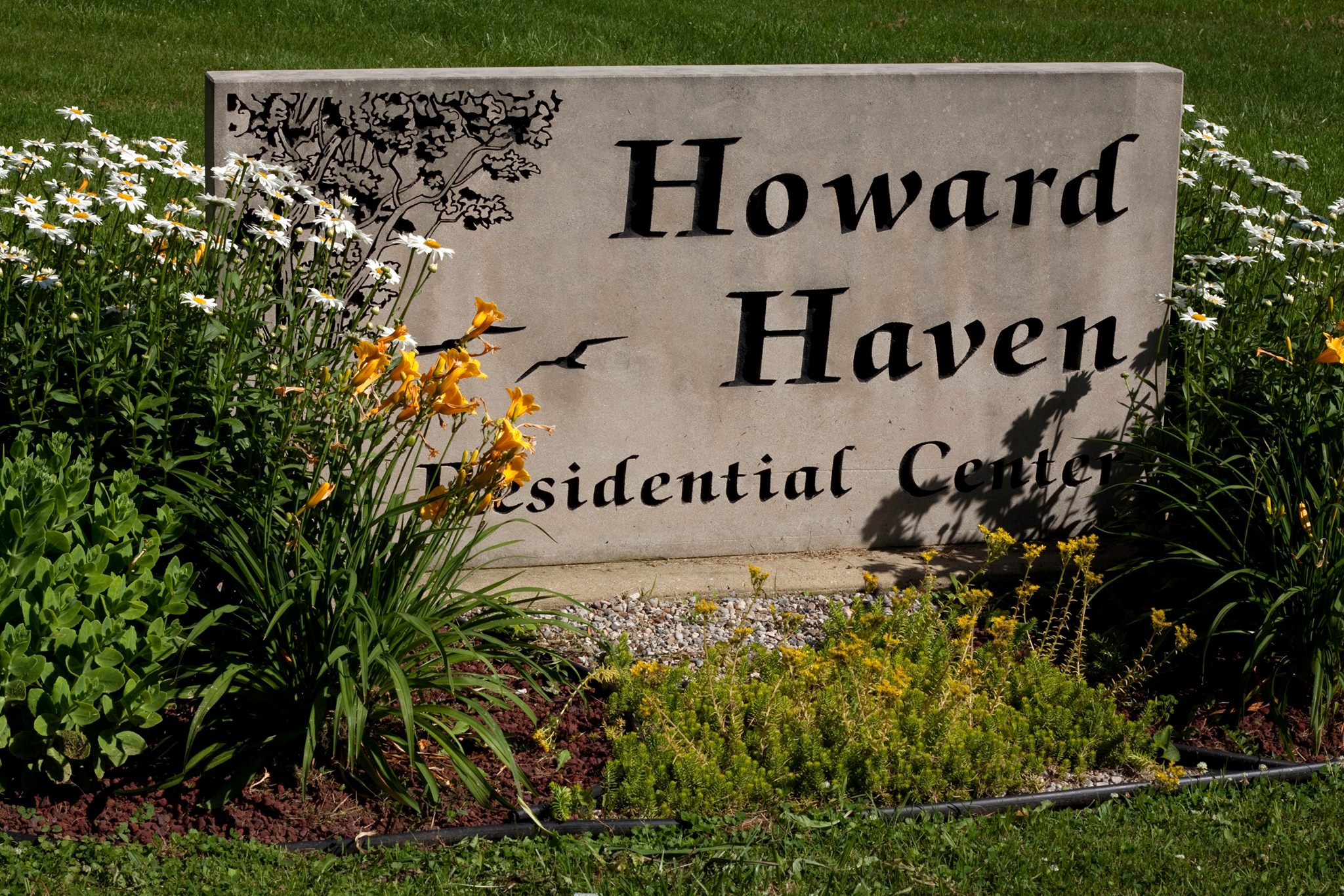 Howard Haven - Soup Kitchen